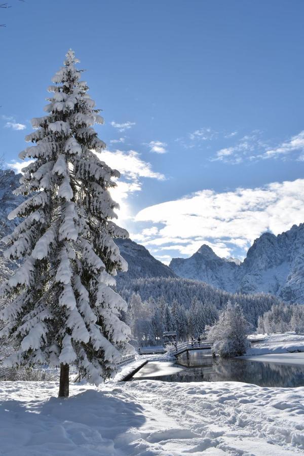 Hisa Ob Jezeru - House By The Kranjska Gora