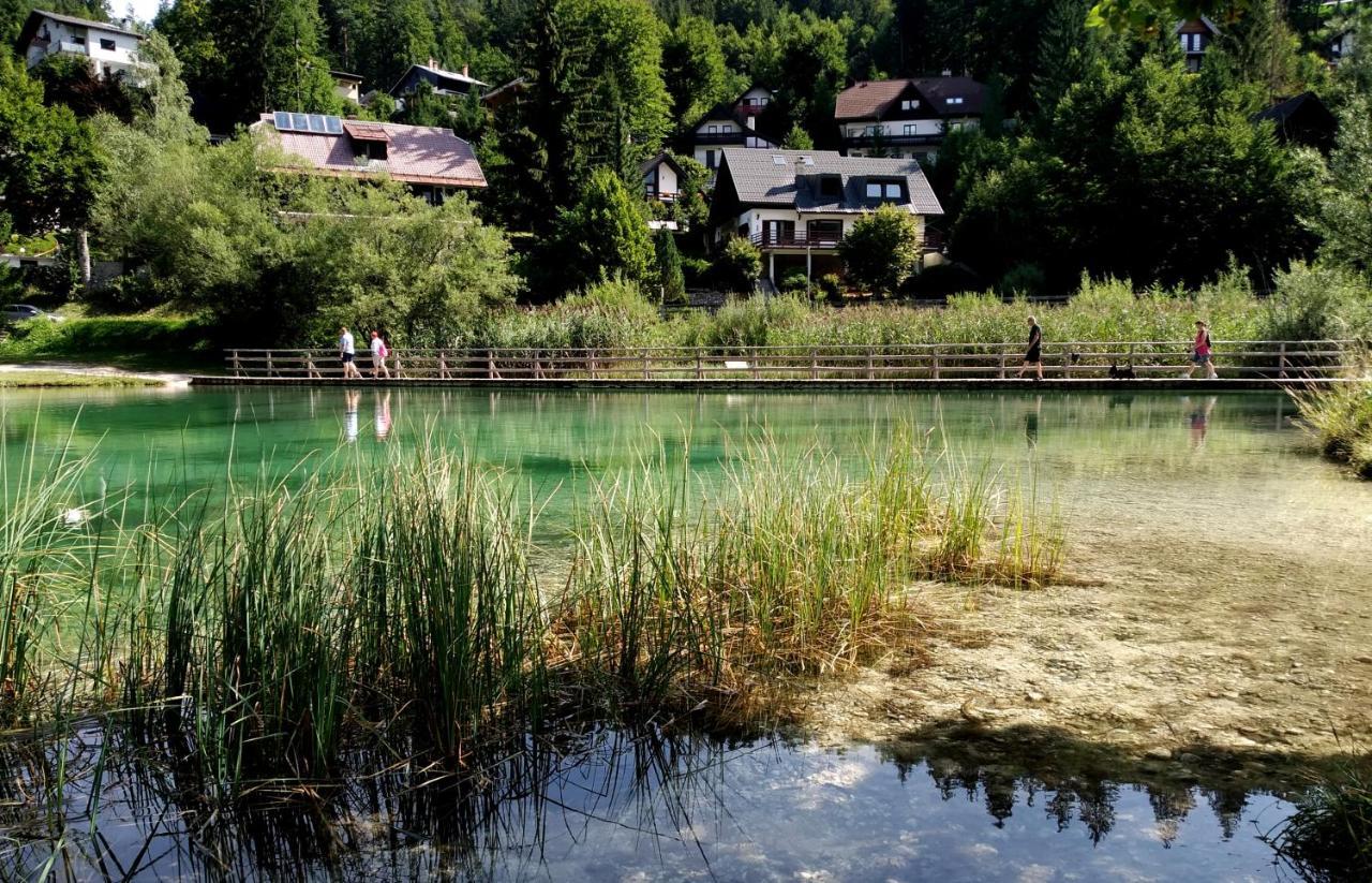 Hisa Ob Jezeru - House By The Apartment Kranjska Gora